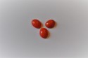 CABOCHON 10x8 mm - CORAIL