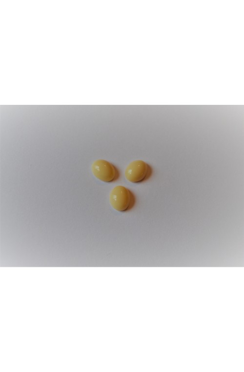 CABOCHON 10x8 mm - IVOIRE