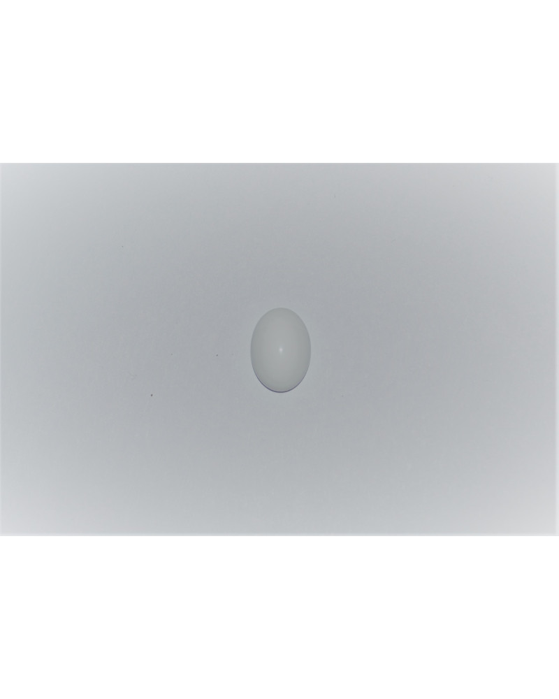 CABOCHON OVALE POUR BAGUE - BLANC