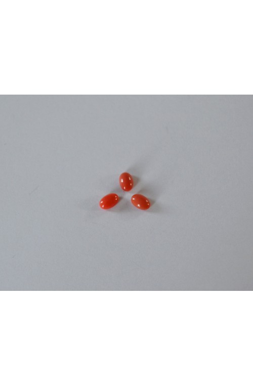 CABOCHON 6x4 CORAIL