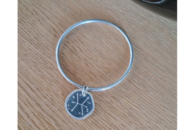 Médaille Zodiac Poissons